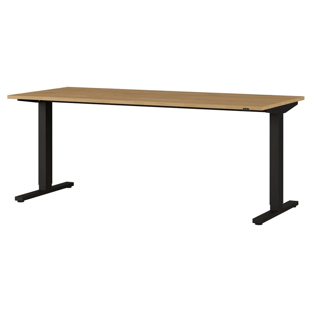 Höhenverstellbarer Schreibtisch 4244 von BME home - Produktbild 2 von 14