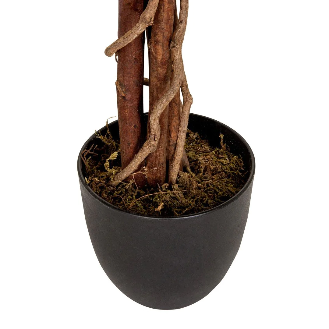 Kunstpflanze MANGO von HJH - Produktbild 6 von 7
