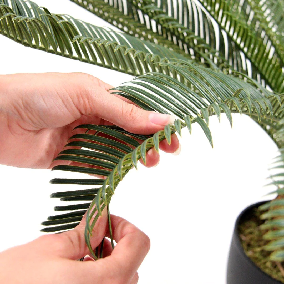 Kunstpflanze CYCAS von HJH - Produktbild 6 von 9