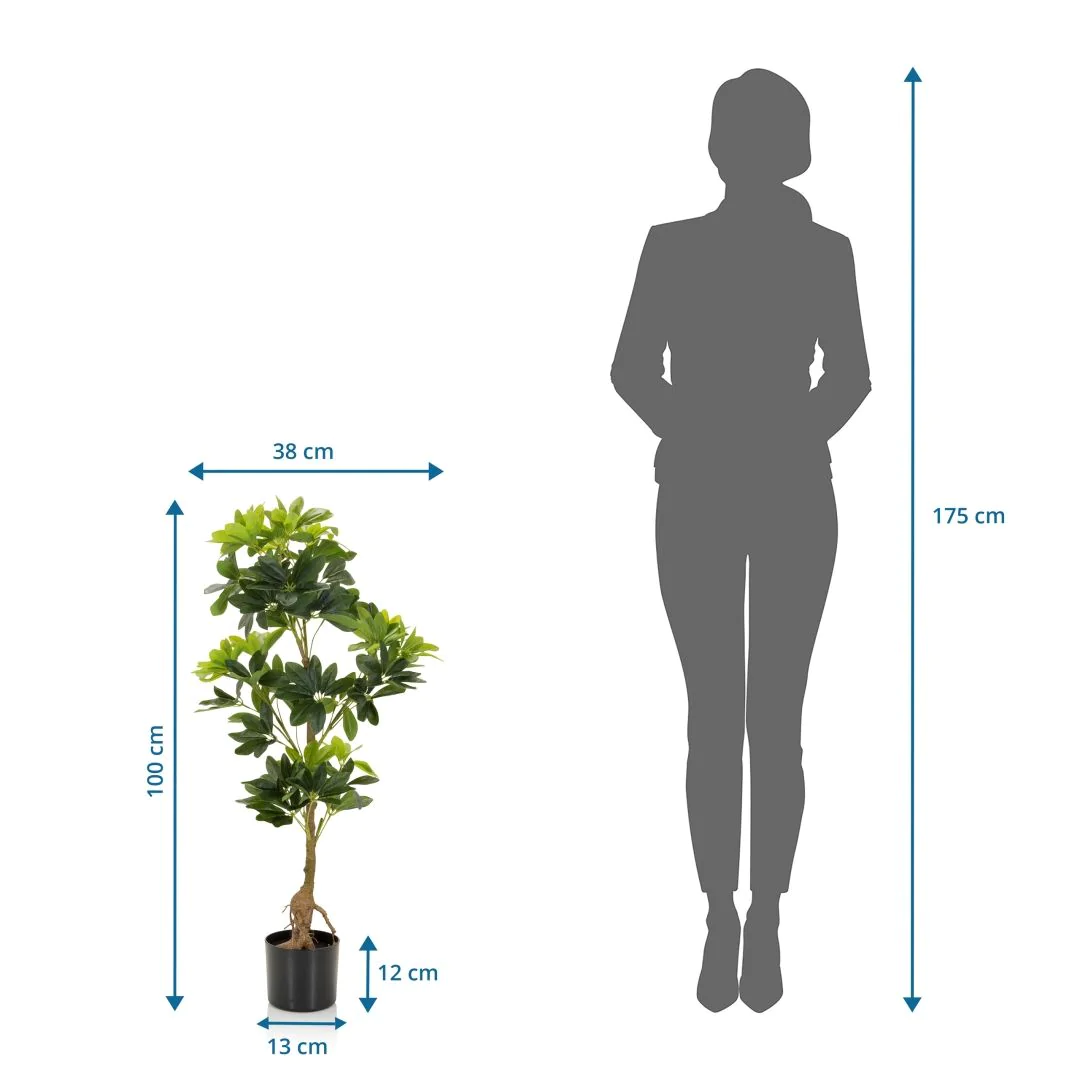 Kunstpflanze SCHEFFLERA von HJH - Produktbild 7 von 7