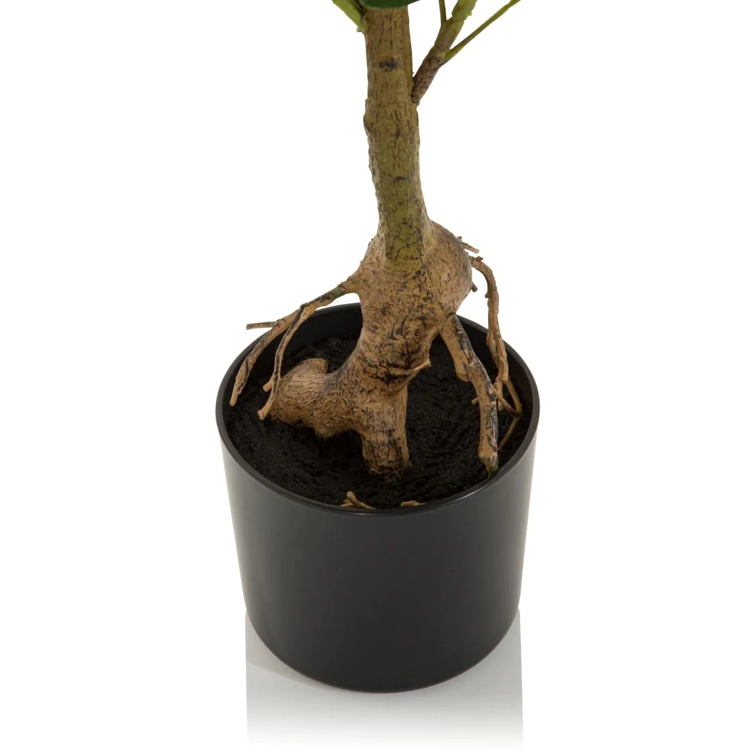 Kunstpflanze SCHEFFLERA von HJH - Produktbild 2 von 7