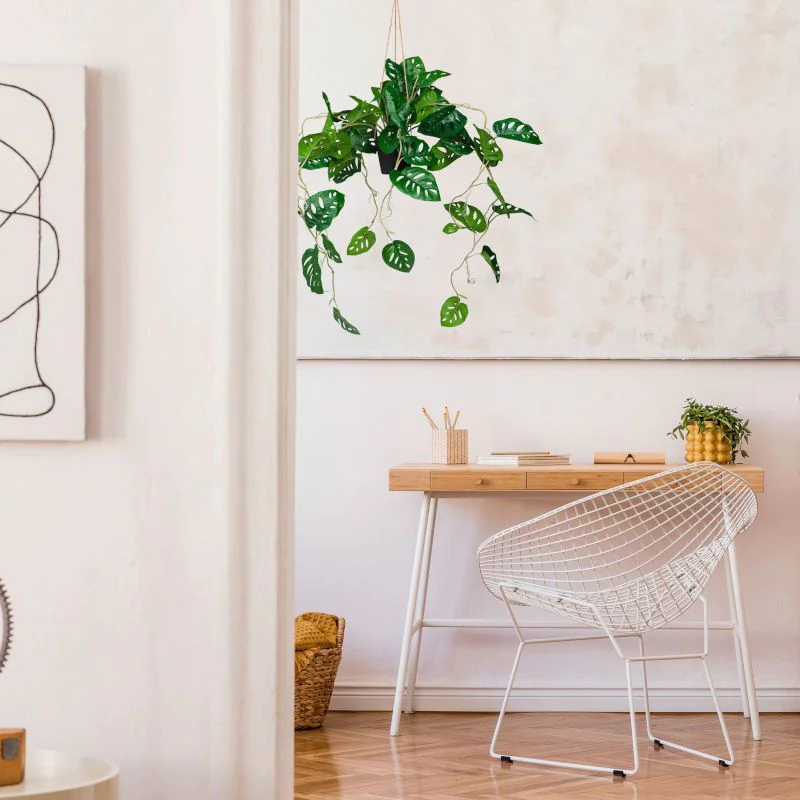Kunstpflanze MONSTERA CLIMB von HJH - Produktbild 2 von 3