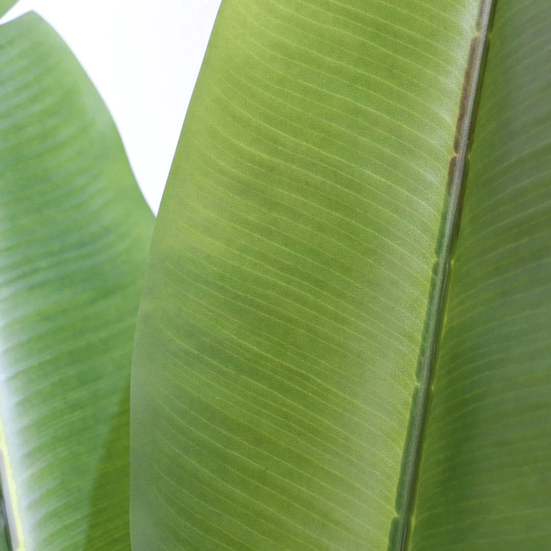 Kunstpflanze BANANE von HJH - Produktbild 2 von 6
