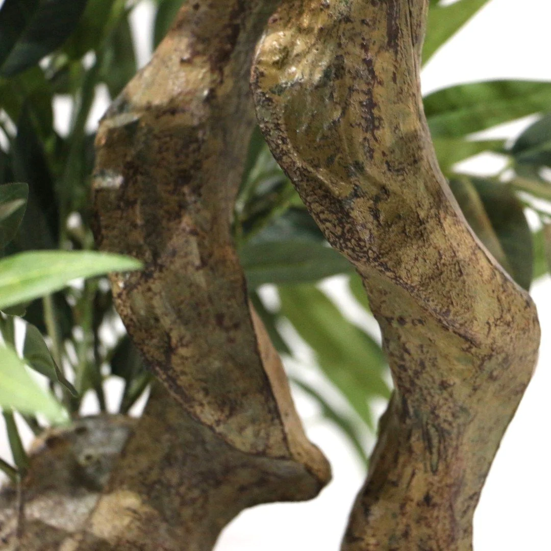 Kunstpflanze ACACIA von HJH - Produktbild 2 von 6