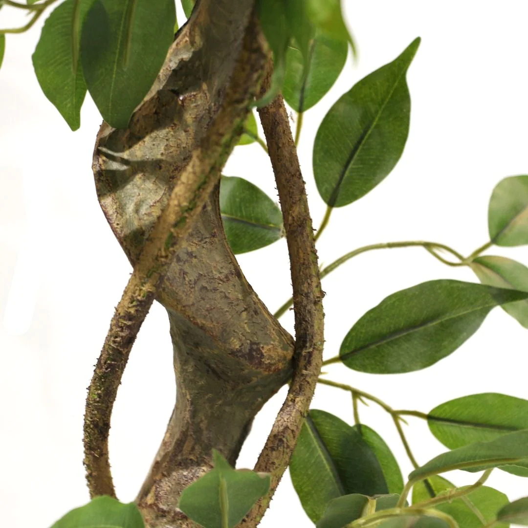 Kunstpflanze FICUS I von HJH - Produktbild 2 von 6