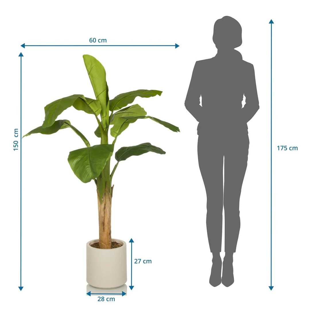 Kunstpflanze BANANE I von HJH - Produktbild 7 von 7