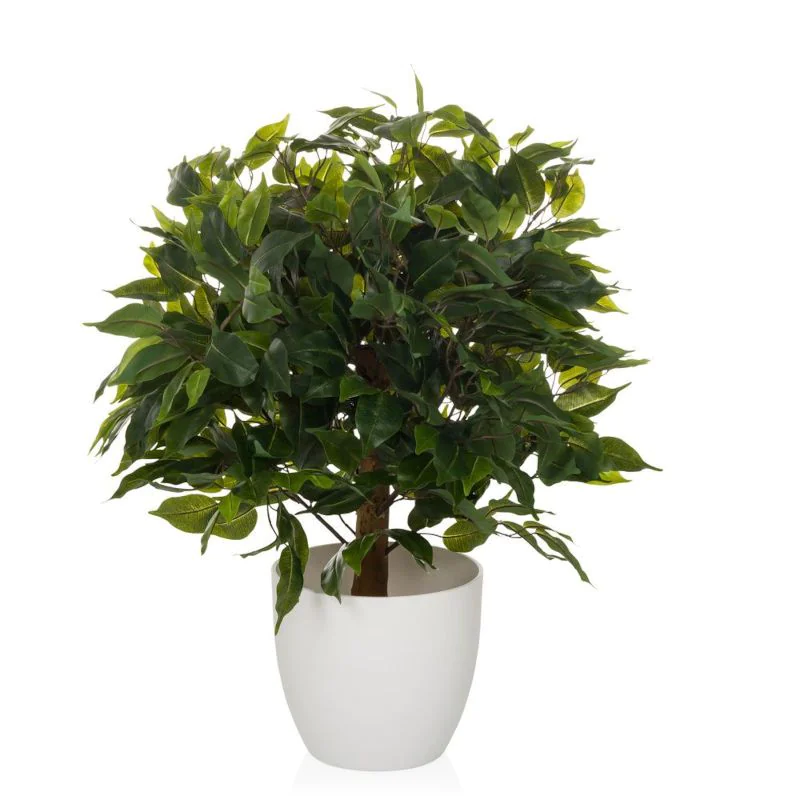 Kunstpflanze FICUS II - HJH-871061