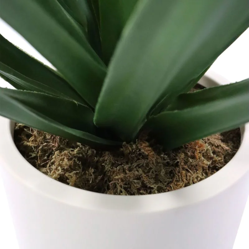 Kunstpflanze Agave von HJH - Produktbild 4 von 5