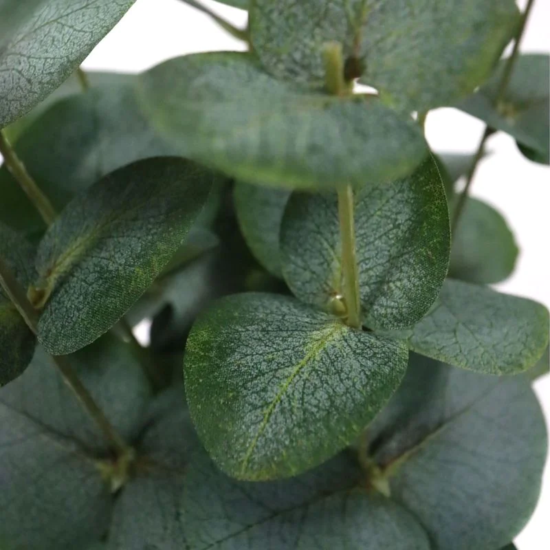 Kunstpflanze Eucalyptus von HJH - Produktbild 4 von 5