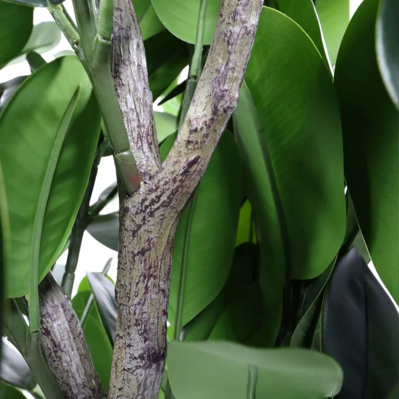 Kunstpflanze Garcinia von HJH - Produktbild 2 von 5