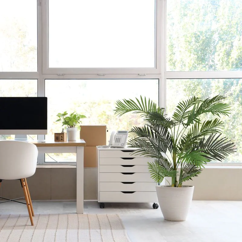 Kunstpflanze ARECA II von HJH - Produktbild 3 von 4