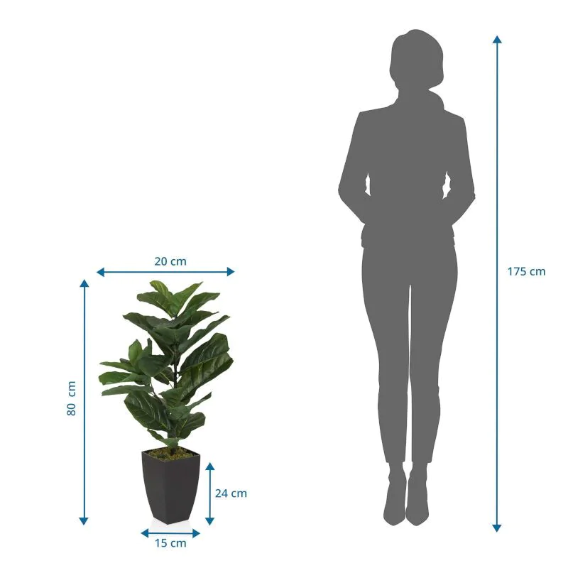 Kunstpflanze LYRATA von HJH - Produktbild 6 von 6