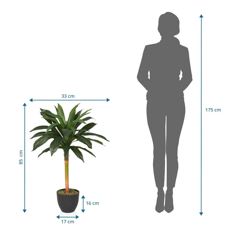 Kunstpflanze DRACAENA I von HJH - Produktbild 4 von 4