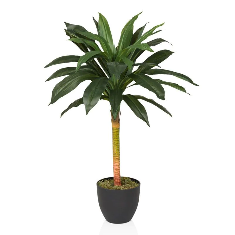 Kunstpflanze DRACAENA  I - HJH-872004