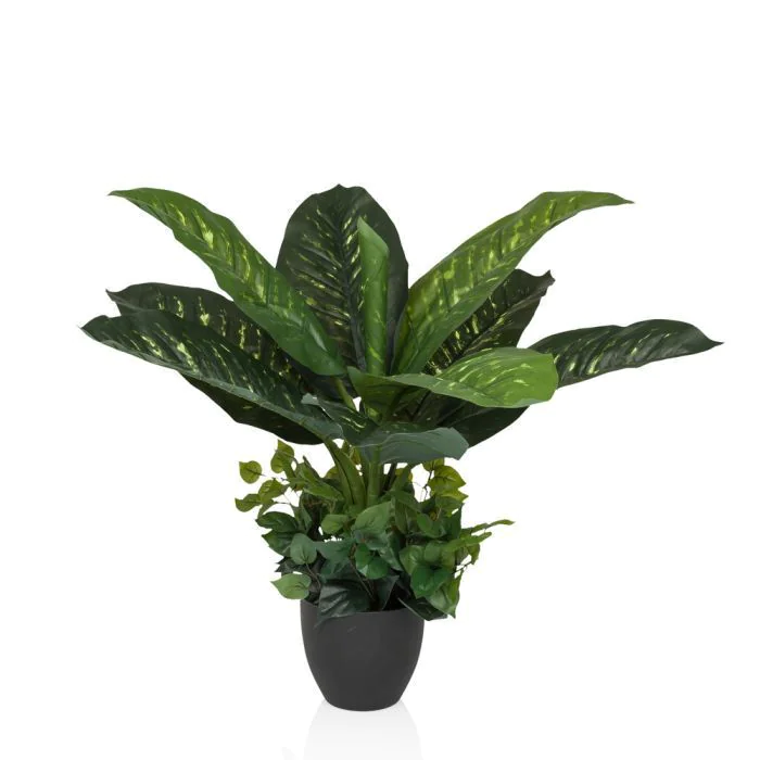 Kunstpflanze DIEFFENBACHIA - HJH-872005
