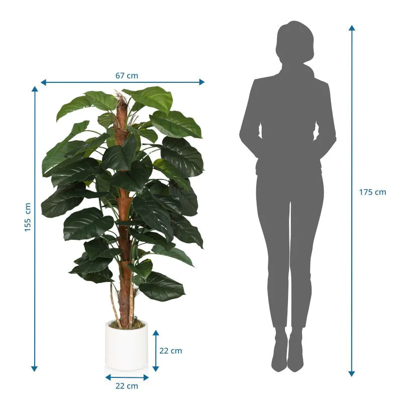 Kunstpflanze EPIPREMNUM von HJH - Produktbild 6 von 6