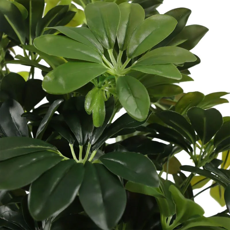 Kunstpflanze Schefflera von HJH - Produktbild 4 von 6