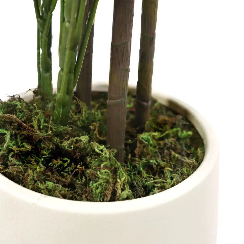 Kunstpflanze Schefflera von HJH - Produktbild 5 von 6