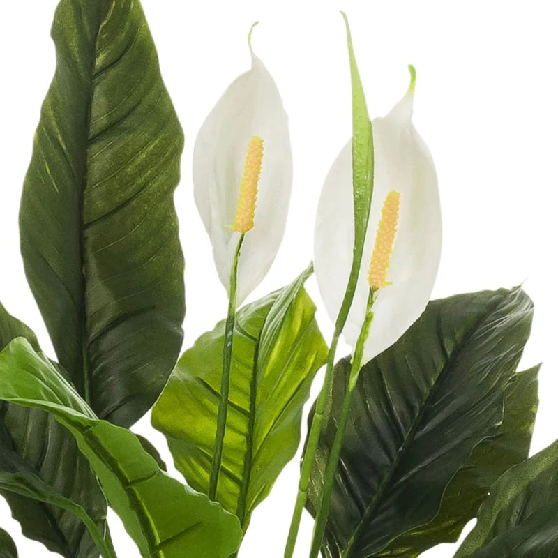 Kunstpflanze Spathiphyllum von HJH - Produktbild 2 von 5