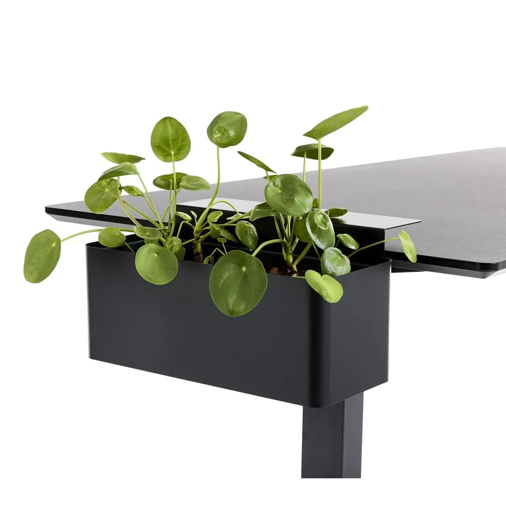 Pflanzbox - PJP-6000-0041