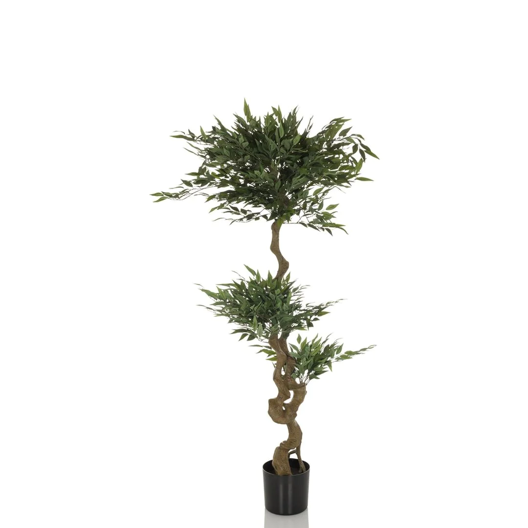 Kunstpflanze ACACIA - HJH-871054