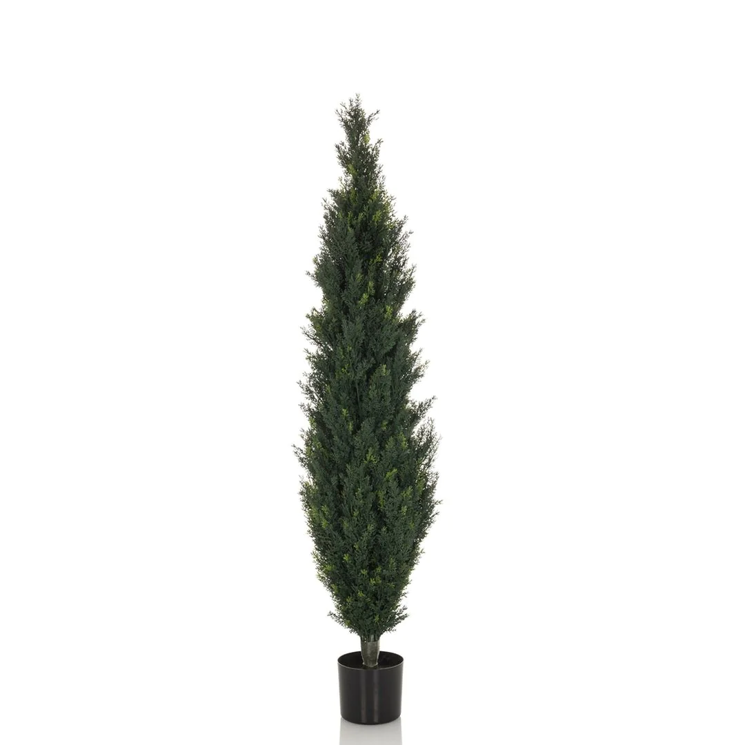Kunstpflanze CEDRUS - HJH-871056