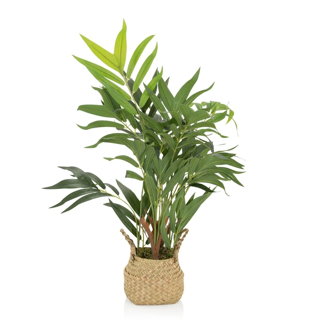 Kunstpflanze CHAMAEDOREA - HJH-871014