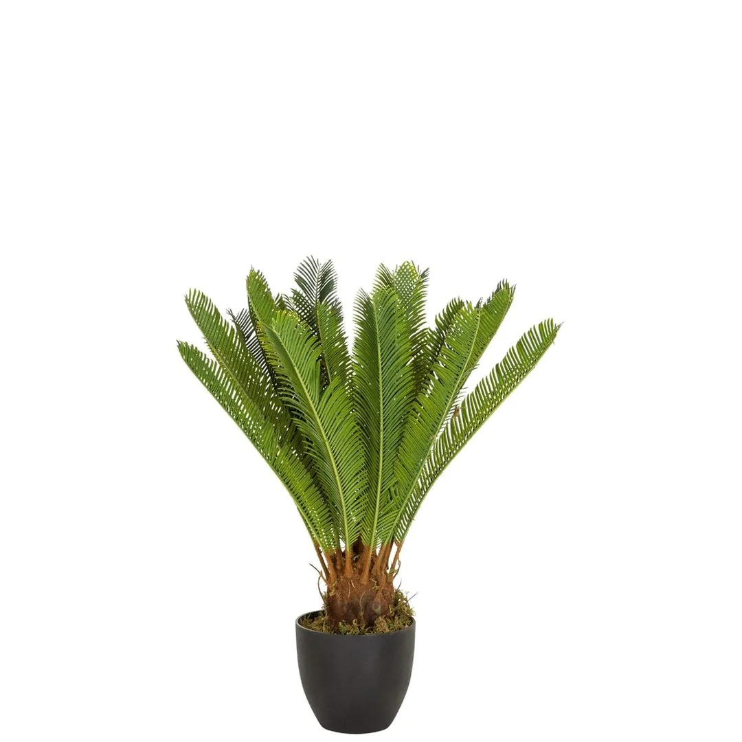 Kunstpflanze CYCAS - HJH-871004