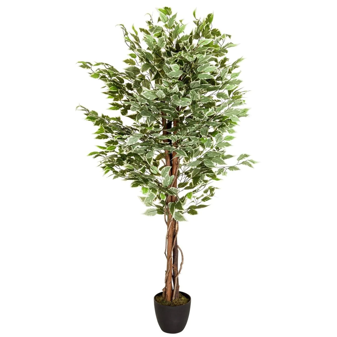 Kunstpflanze FICUS - HJH-871000
