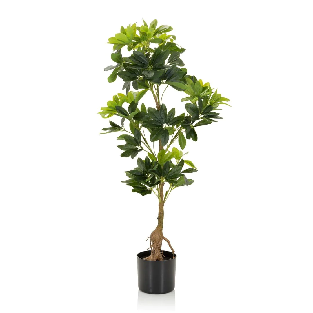 Kunstpflanze SCHEFFLERA - HJH-871015